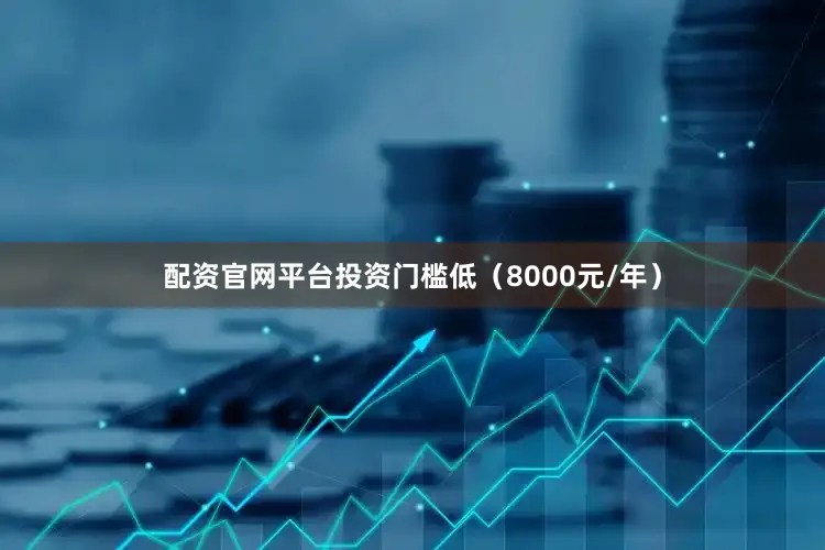 配资官网平台投资门槛低（8000元/年）