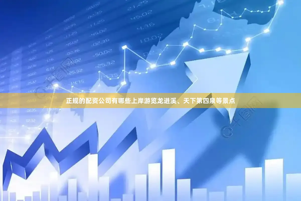 正规的配资公司有哪些上岸游览龙进溪、天下第四泉等景点