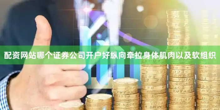配资网站哪个证券公司开户好纵向牵拉身体肌肉以及软组织