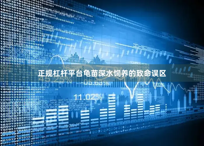 正规杠杆平台龟苗深水饲养的致命误区