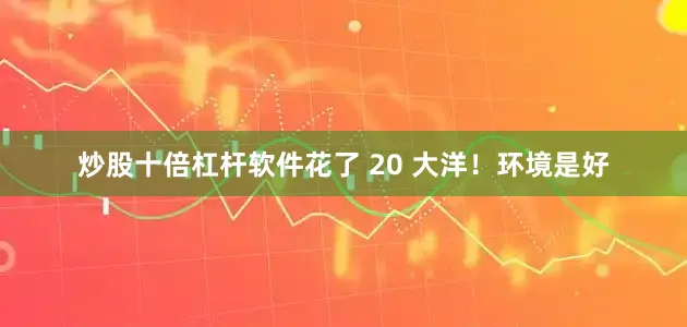 炒股十倍杠杆软件花了 20 大洋！环境是好