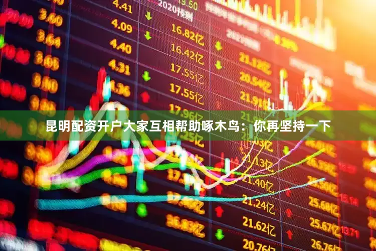 昆明配资开户大家互相帮助啄木鸟：你再坚持一下